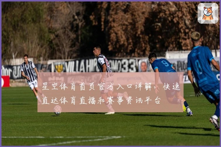 星空体育首页官方入口详解，快速直达体育直播和赛事资讯平台