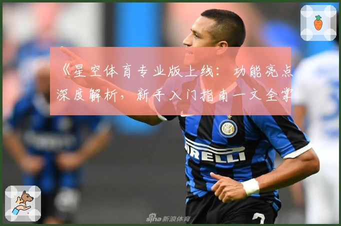 《星空体育专业版上线：功能亮点深度解析，新手入门指南一文全掌握》